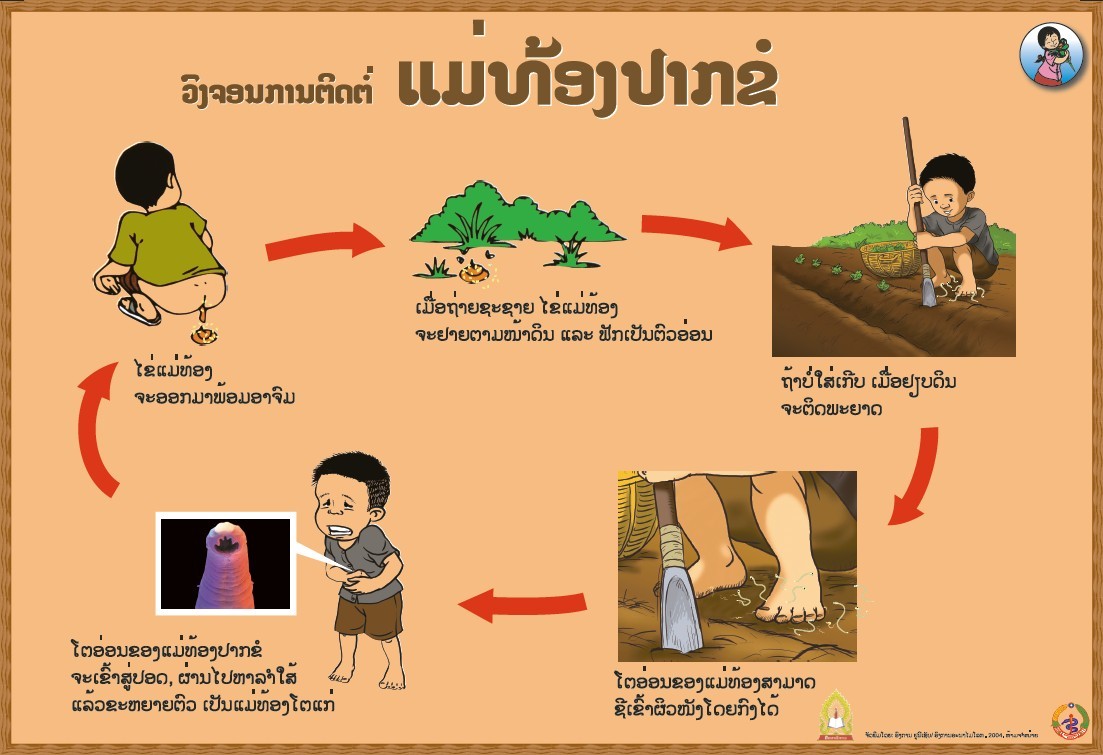 ແມ່ທ້ອງໂຕກົມ