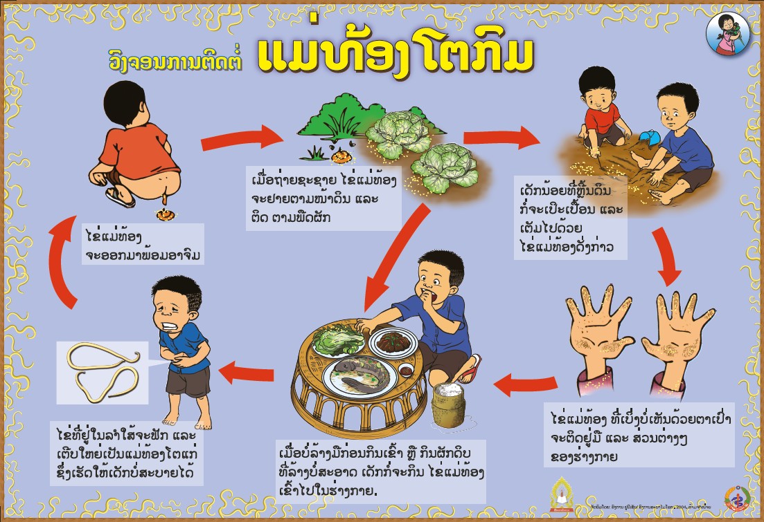 ແມ່ທ້ອງປາກຂໍ