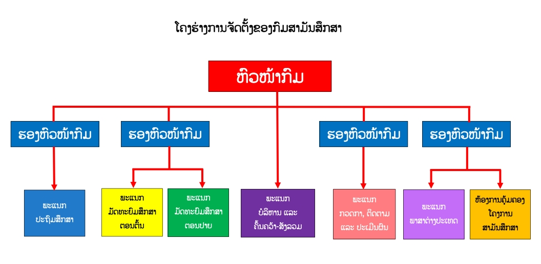 ໂຄງຮ່າງການຈັດຕັ້ງ ກົມສາມັນສຶກສາ